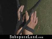 Young And Fresh Tobe Used In Subspace