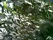 Paki Man Fuck His Cute Girlfriend In Field
