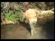 Marjorie Video Unknown 02