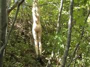 Caning In Woods