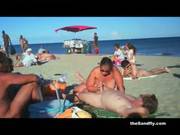 Thesandfly Hot Naked Beach Thrillers