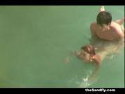 Thesandfly The Beach Sex Files