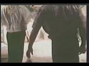 Danish Schoolgirls 04
805