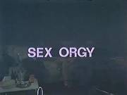 Vintage Sexy Orgy Ccc German Dub
813