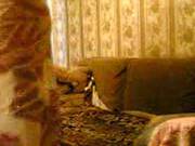 Arabic Nice Fuck Sweet Girl
600