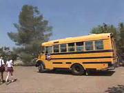 Teeny Schoolbus Lucky Day By Troc
1926