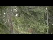 Chubby Swedish Girl Fucked In Forest
1700