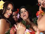 Carnaval De Brazil 1