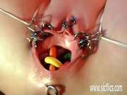 Extremely Bizarre Pierced Vaginal Insertions