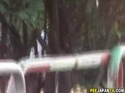 Asian Pees Behind Bench