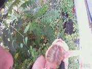 Fucked For Cash Before A Date