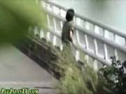 Japanese Ho Pees In Park