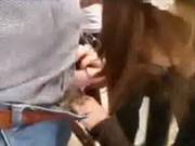 Teenie Blowing In Public