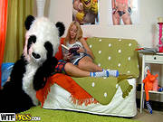 Panda Pounding Young Blondie