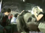 Drunken Girls Sucking Strippers At Ladies Night Blowjob Party