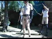 Pony Villein Training