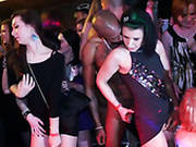 Wondrous Gals With Nice Butts Desire To Suck Tasty Lollicocks At The Soiree
