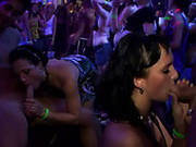 Horny Bitches Are Drooling Watching Hot Striptease Show