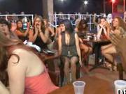 Tons Of Bitches Having Sex