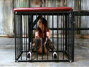 Sluty Gets Nailed And Dominated