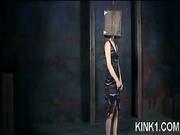 She Can Beg For Pain Or She Can Beg For Humiliation. It Is A Dec -3
