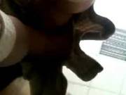 Upskirts Mexico