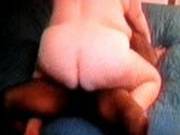 Bull Scolds My Husband