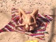 Beach 27