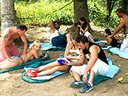 Group Action In The Woods