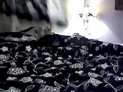 Livecam Panty Rub Comp1