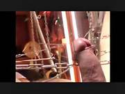 Mistress In A Painful Bdsm Session With Male Slave