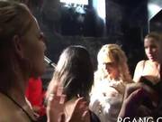 See Sexy Babes At The Party Suck The Cock 