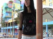 Cute Brunette Gets Kinky In Public With Some Flashing