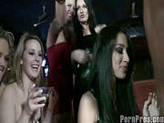 Horny Babes In Amazing Group Fuck
