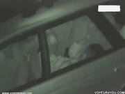 Car Seat Sex Couple