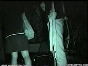 Lovers Sexual Excitement
