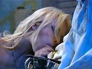 Golden-haired Anal Doxy