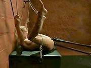 Bound Angel Vibred And Toyed