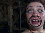 Screwed Bushbitch Maggie Mead Gets Crucified While Her Clit Gets Stimulated With Vibrator
