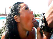 Hot Babe Gets Nailed In Wild Hardcore