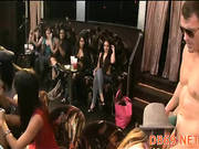These Girls Love Suckign Whipped Cream -15
