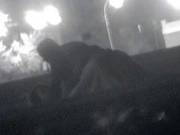 Holiday Voyeur On The Beach Xvid