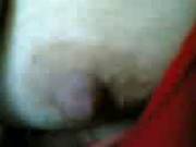 Hijab Arab Girl Boobs Flash