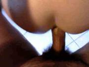Vesta Anal Doggy
