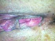 Licking Milfs Pink Pussy Hardcore