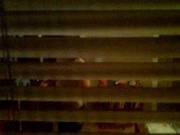 Voyeur4