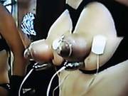Nipple & Tit Work Out