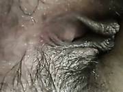 Big Ass Hairy Pussy