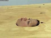 Face In The Floor - Foot Worship And Face Trampling