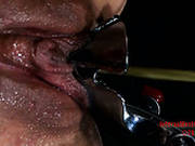 Calico Getting Her Pussy Teased In Bdsm Scene